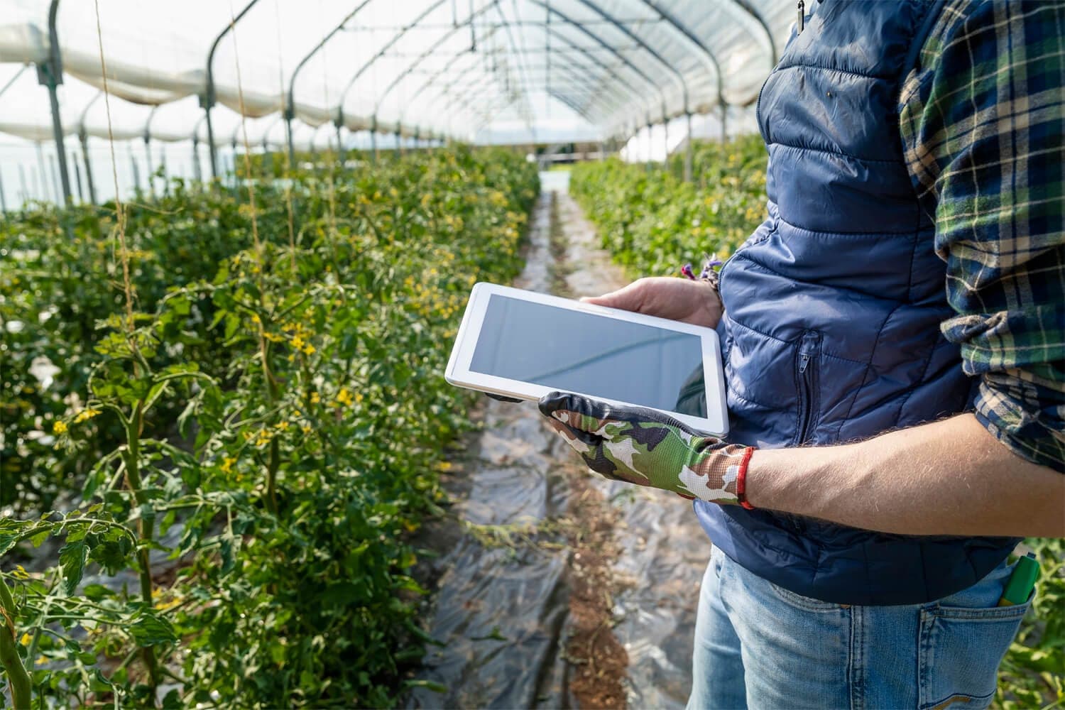 Precision Irrigation